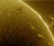 Rijk-Jan-Koppejan-2012-07-19-Sun-prominence_1342716251_lg.jpg